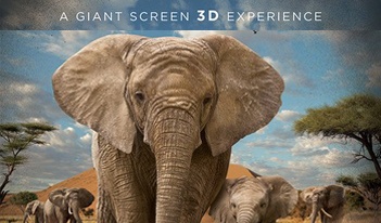 ELEPHANTS 3D: The Adventures of Little Foot