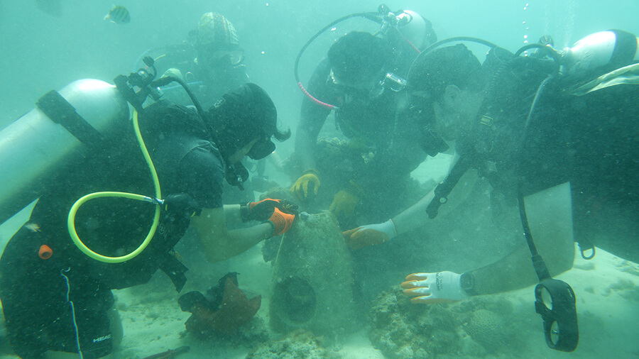 coral-reef Coral Reef
