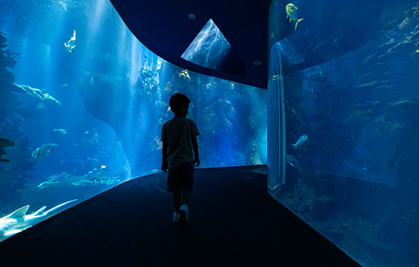 Almutawa Aquarium