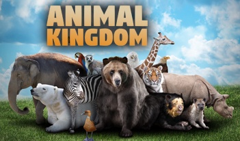 ANIMAL KINGDOM 3D