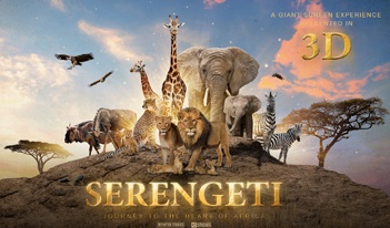 Serengeti 3D