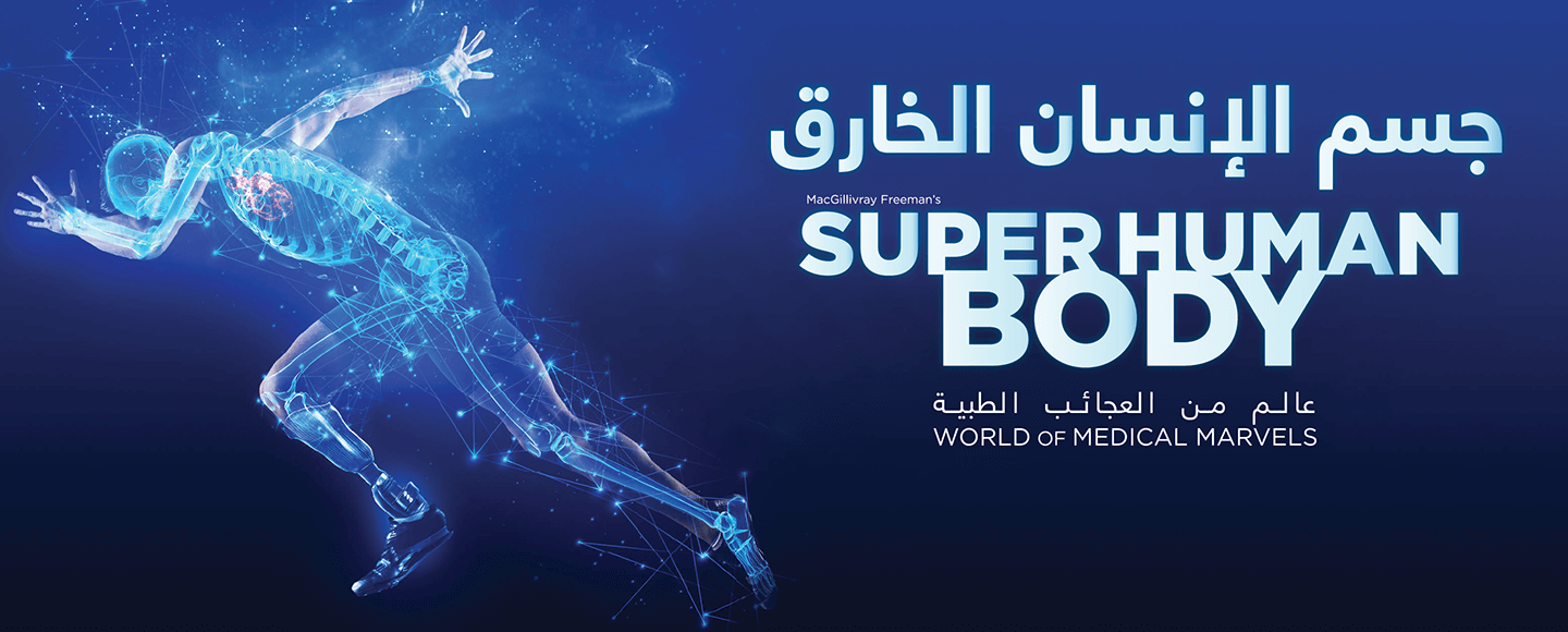 P.C-WEB-SHbody Super human body