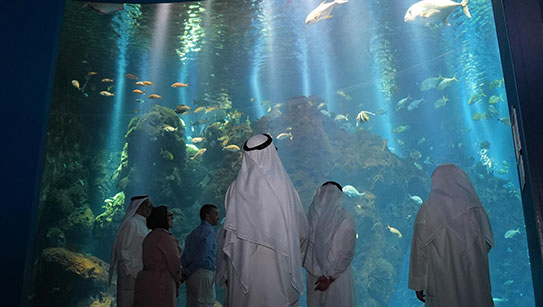أخبار_يونية_29 يونيو_ج